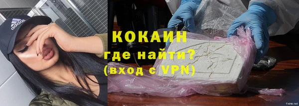 стафф Заводоуковск