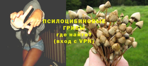 стафф Заводоуковск