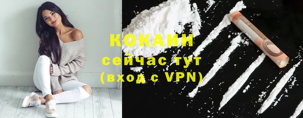 стафф Заводоуковск