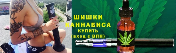 стафф Заводоуковск