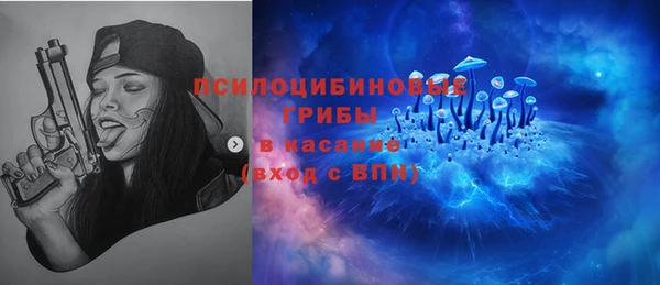 стафф Заводоуковск