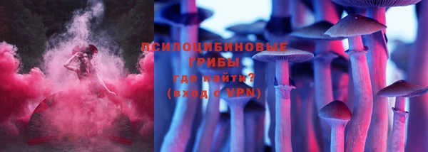 стафф Заводоуковск