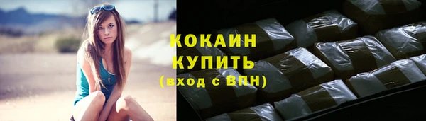 стафф Заводоуковск
