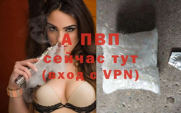 стафф Заводоуковск