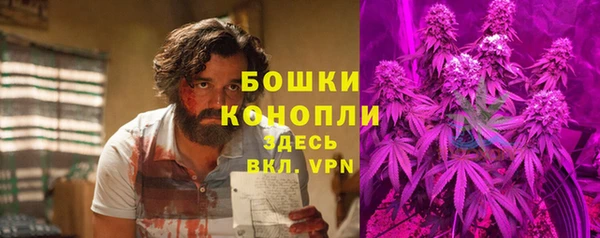 стафф Заводоуковск