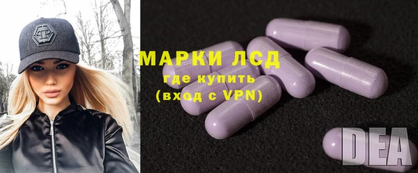стафф Заводоуковск
