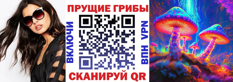 Псилоцибиновые грибы MAGIC MUSHROOMS  Купить где  Гудермес 